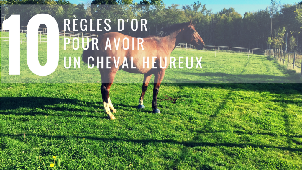 10 "règles d'or" pour avoir un cheval Athlèthe HEU-REUX - Horsyklop